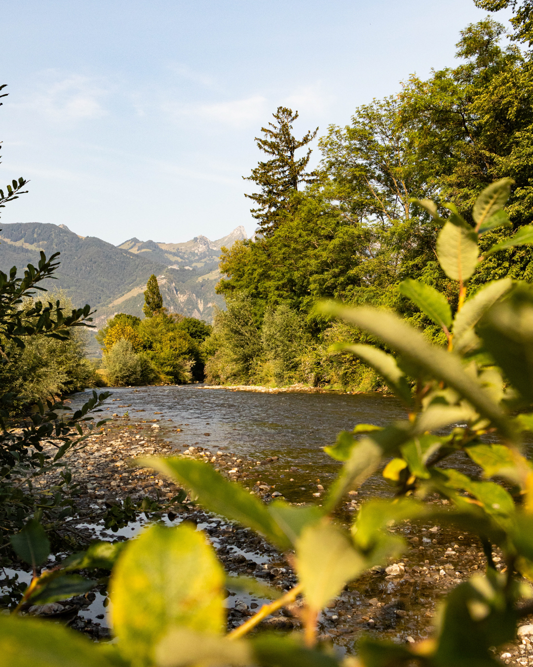 Via Valdensis from Villeneuve to Aigle | N°14