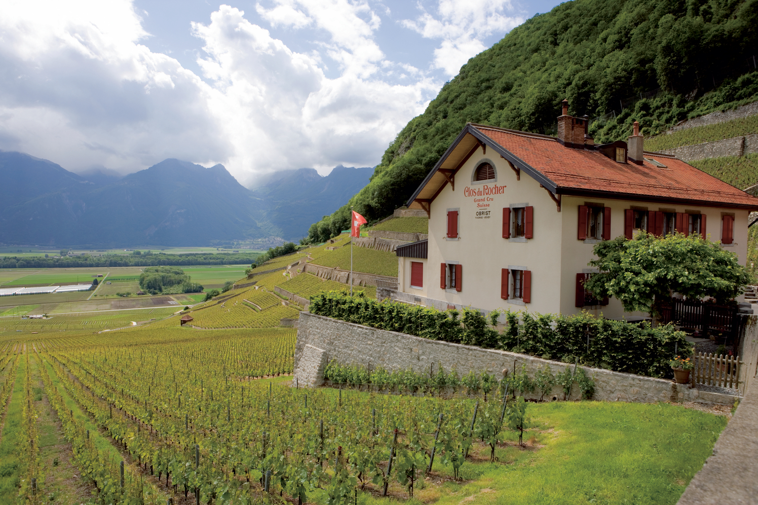 Clos du Rocher