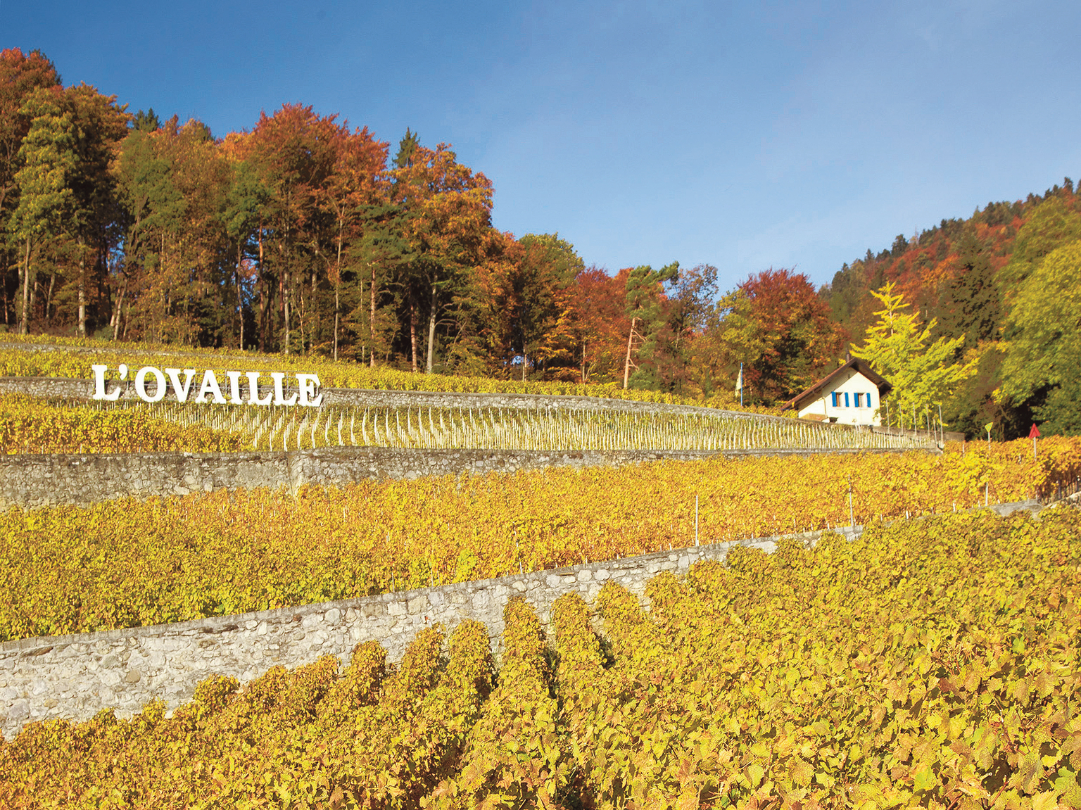 Domaine de l'Ovaille