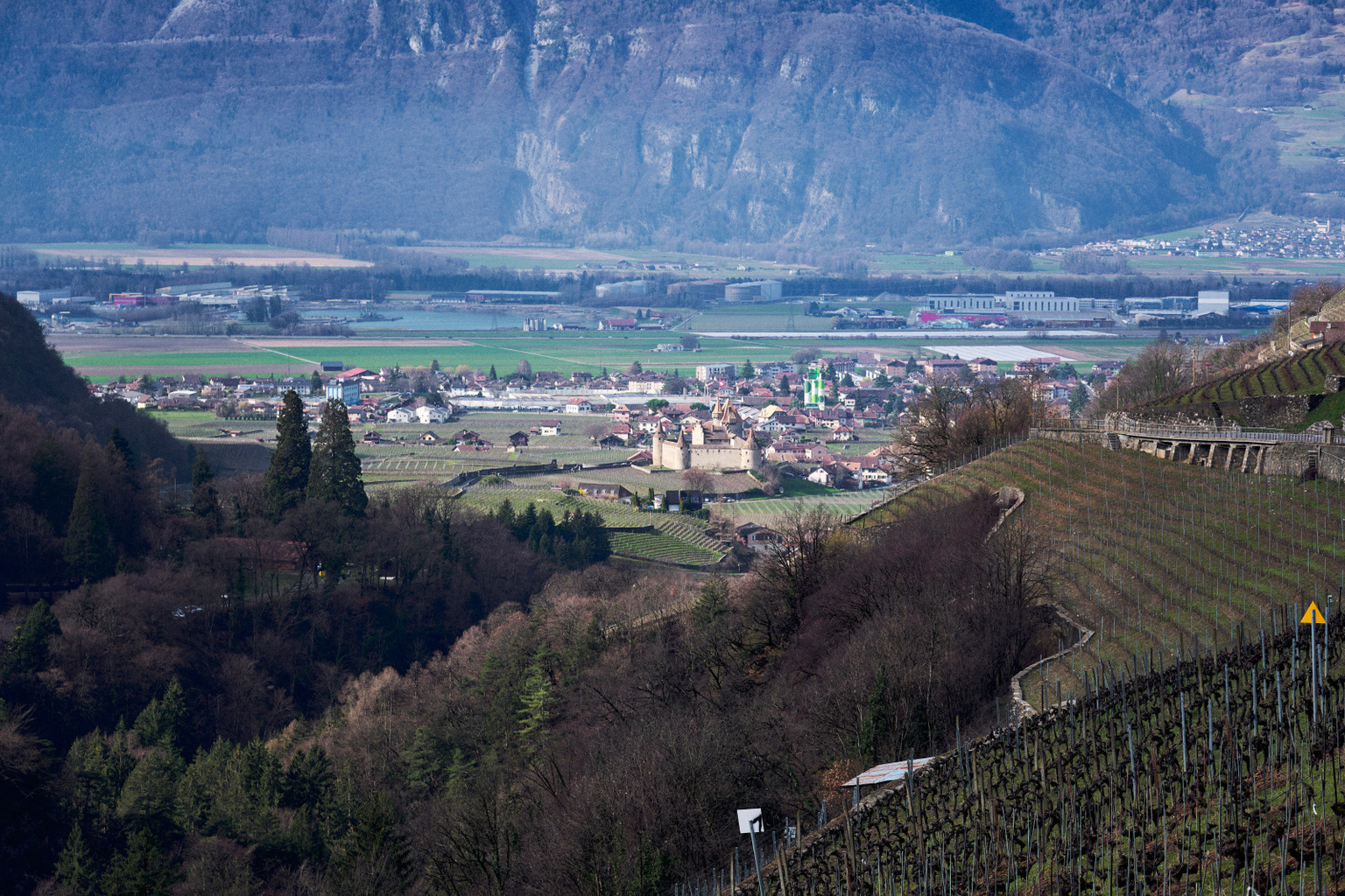 Domaine des Afforêts
