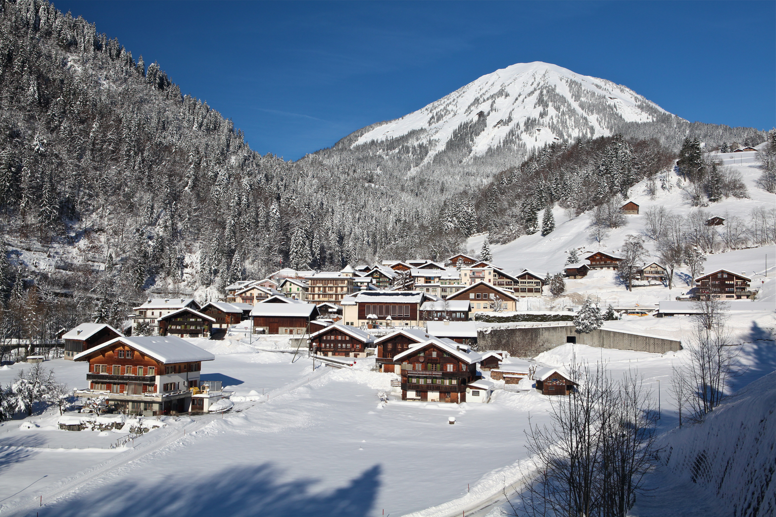 Leysin - Solepraz - Le Sépey en raquettes