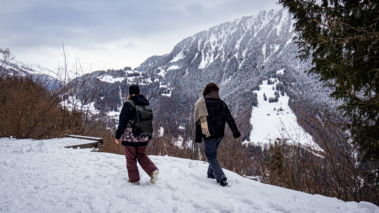 Balade hivernale du Renardeau
