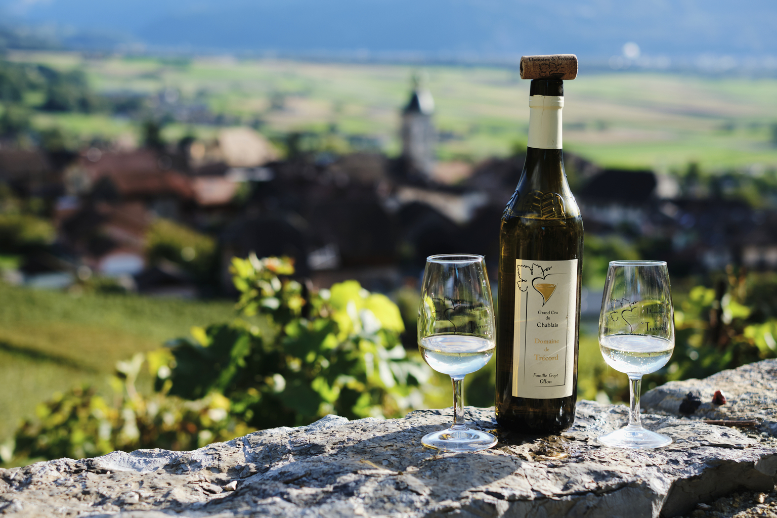 Domaine de Trécord
