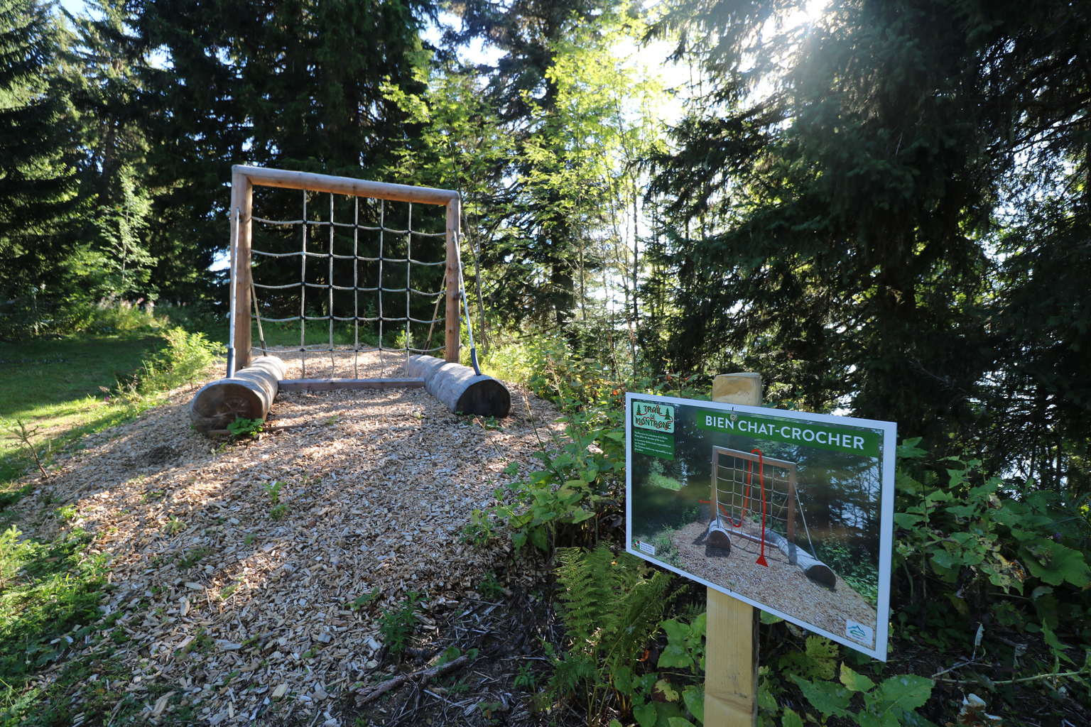 Parcours d'obstacles "Trail de montagne"