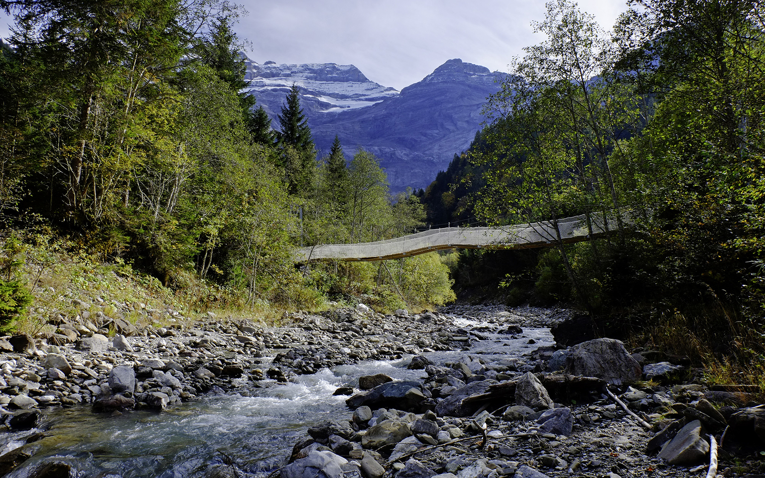 The suspension bridge