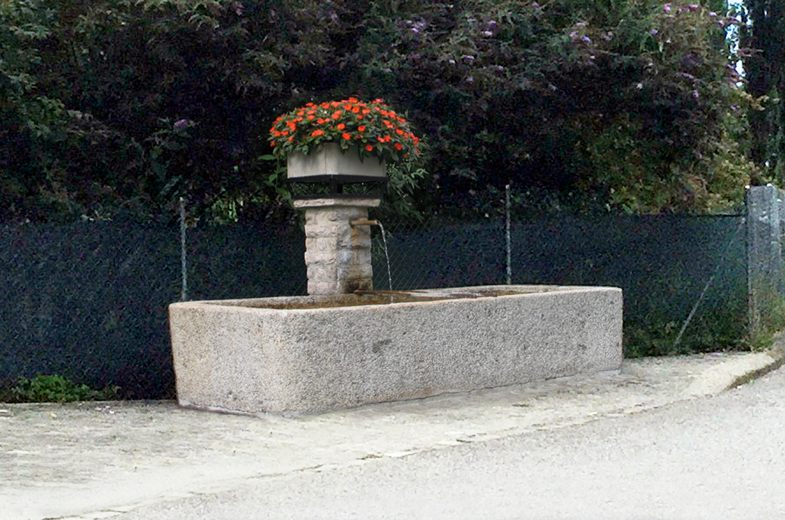 Brunnenwanderung in Bex, Dorfversion
