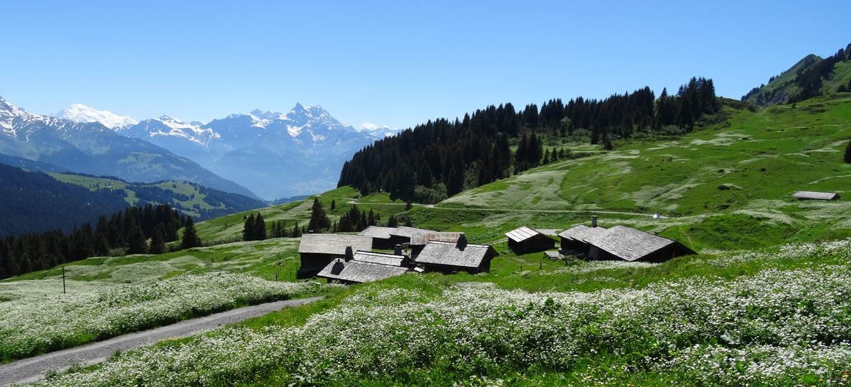 Rochegrises – Verneyre – Ensex – Bretaye – Col de Soud – Rochegrises