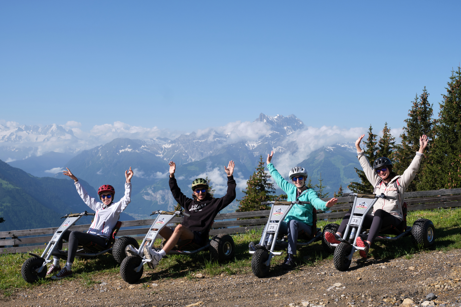Mountain Cart in Villars