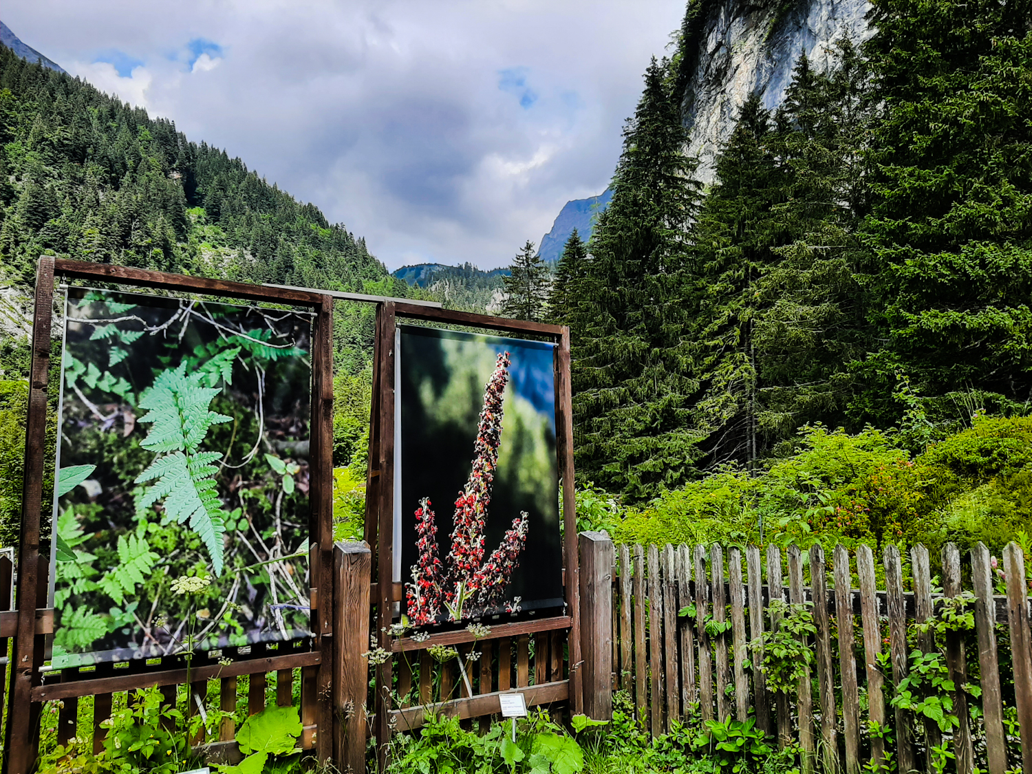 Jardin botanique alpin La Thomasia