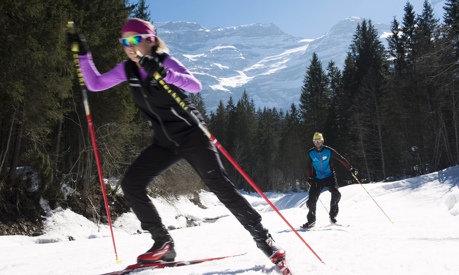 Cross-country skiing championships
