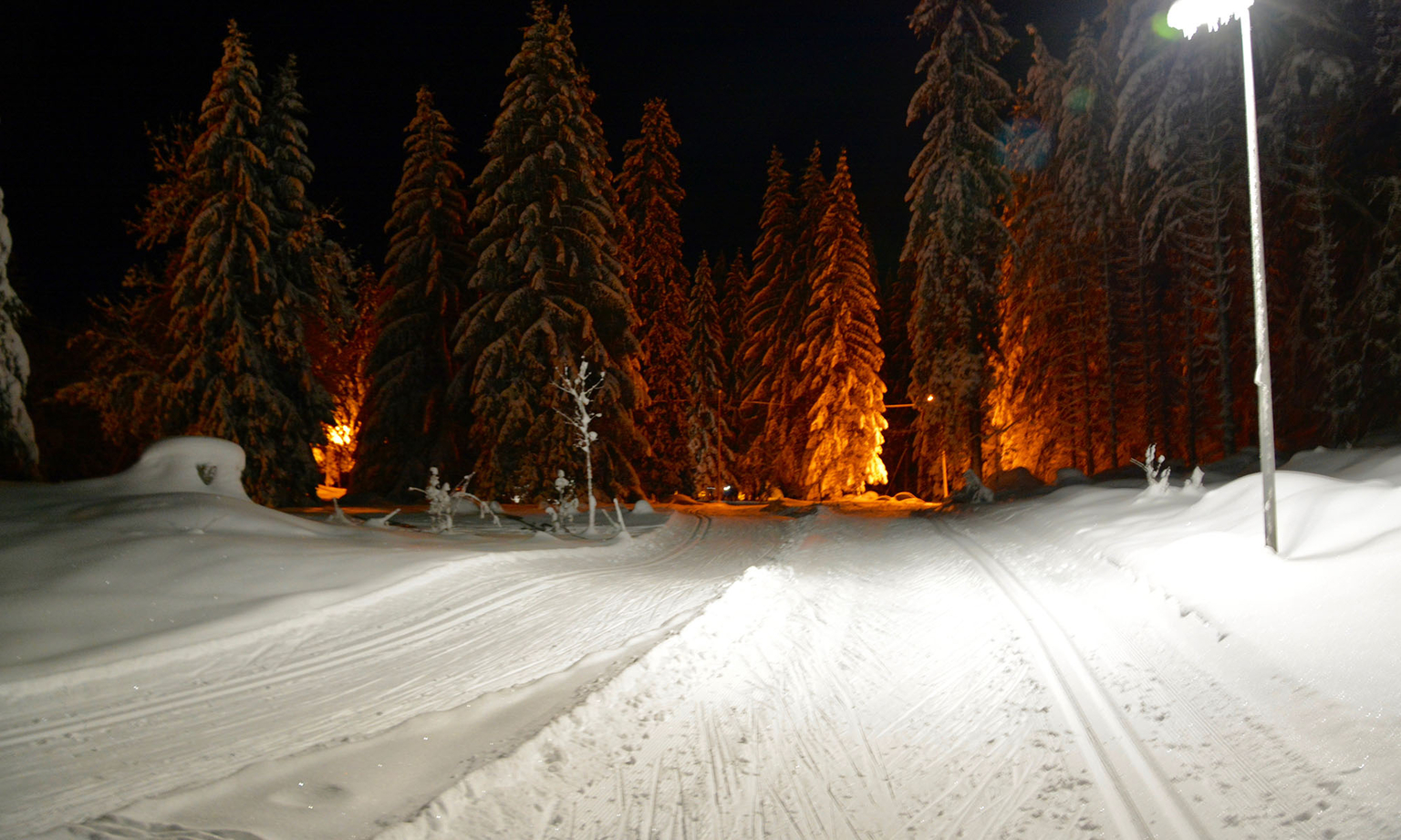 Langlaufpiste in Les Plans-sur-Bex