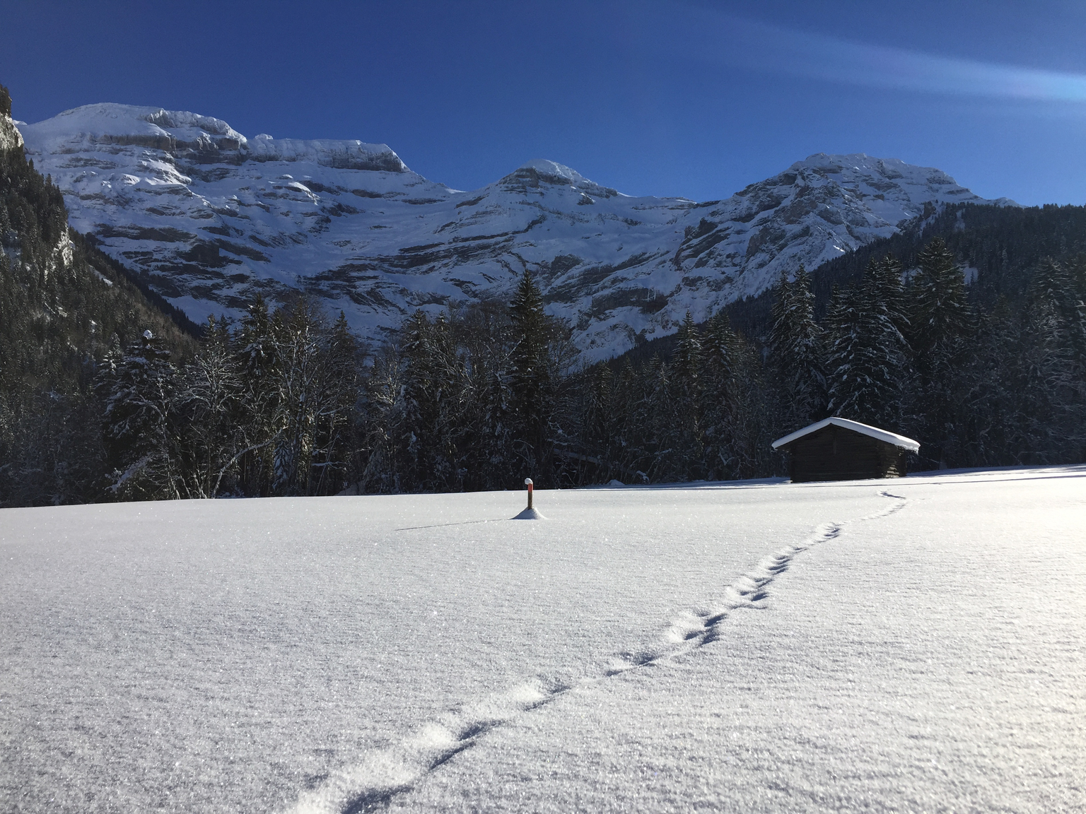 Les Diablerets - Le Droutzay - Les Diablerets