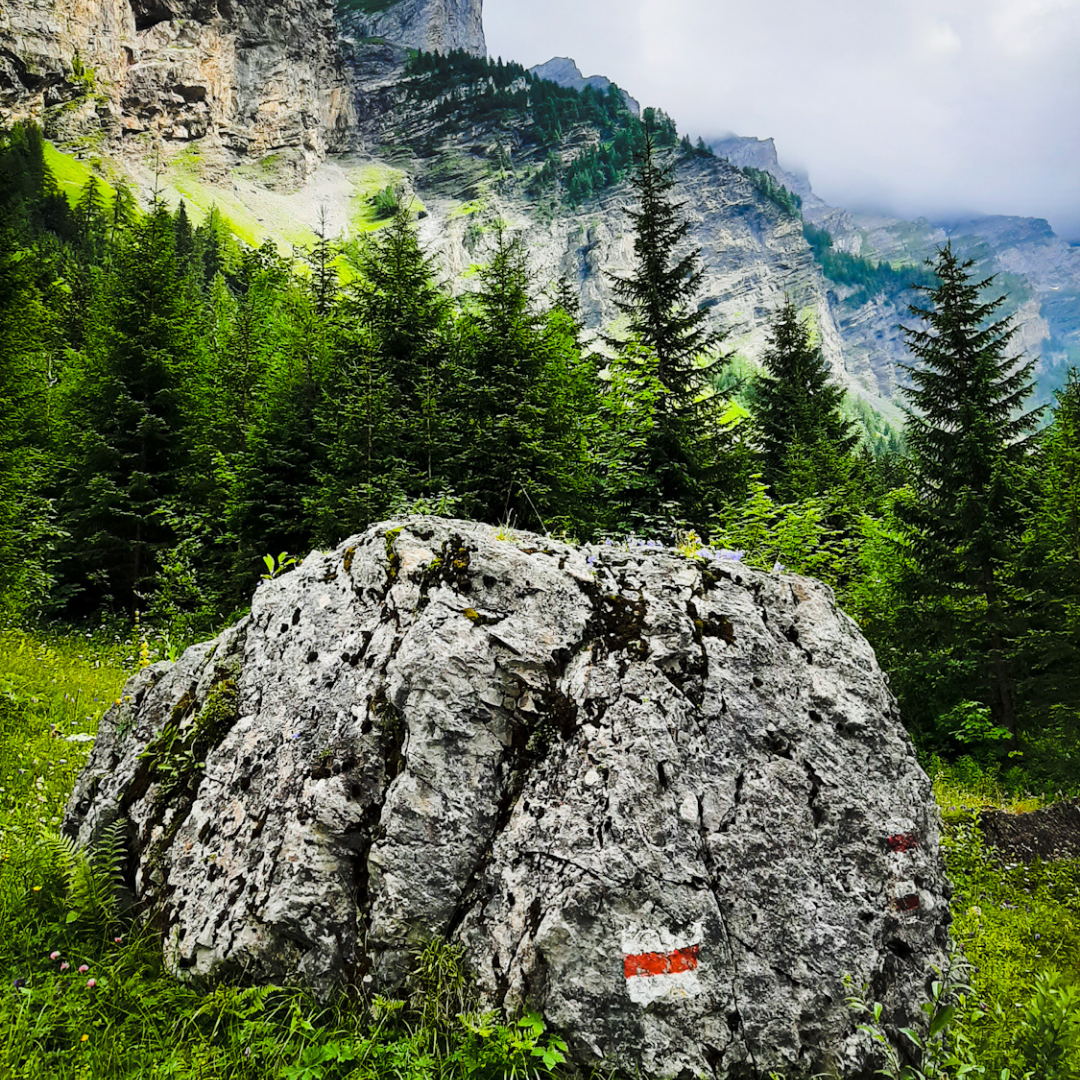 Unumgängliche Wanderungen