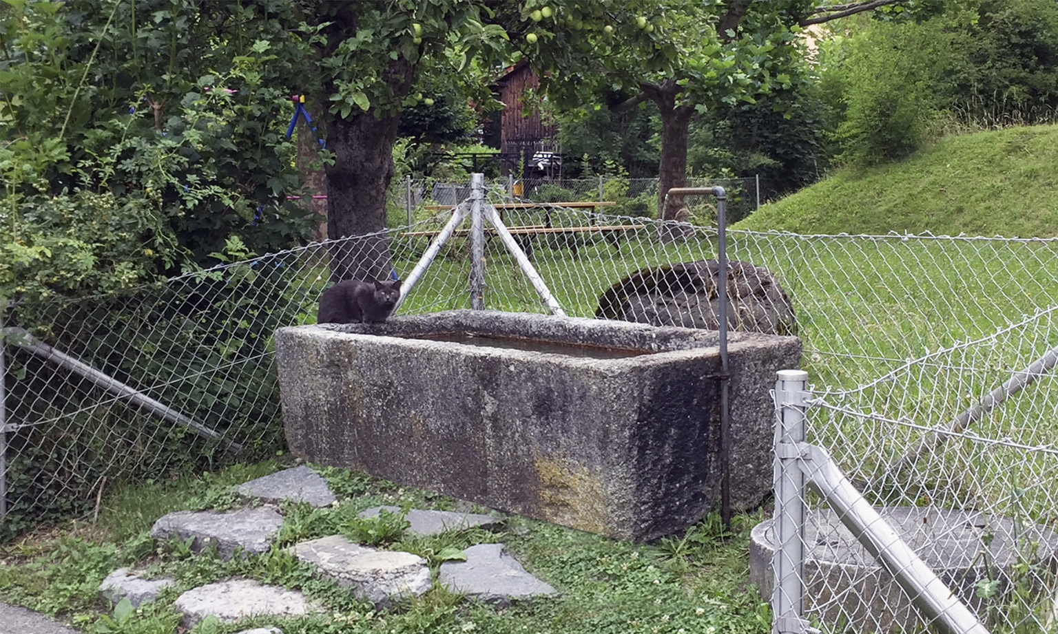 Balade des Fontaines in Bex - Landversion