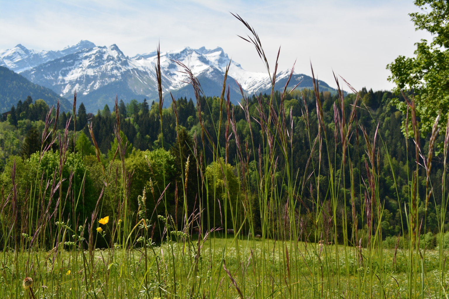 Villars-Arveyes