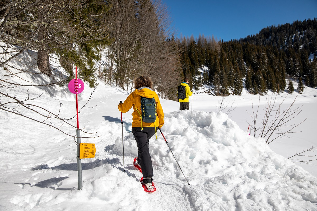 Sea to sea with snowshoes