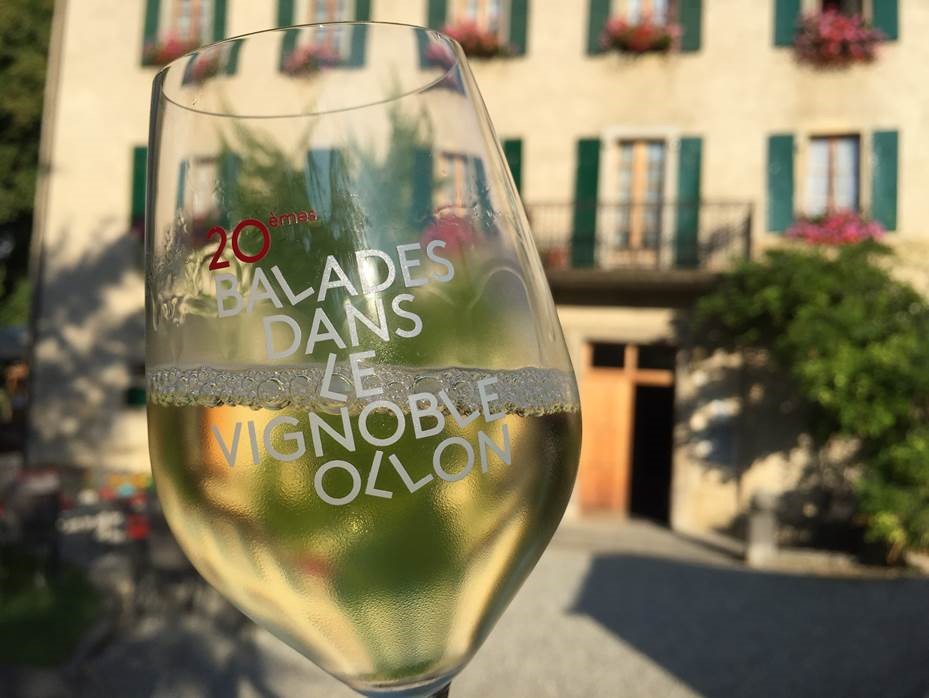 Balades dans le vignoble d'Ollon - 29e édition