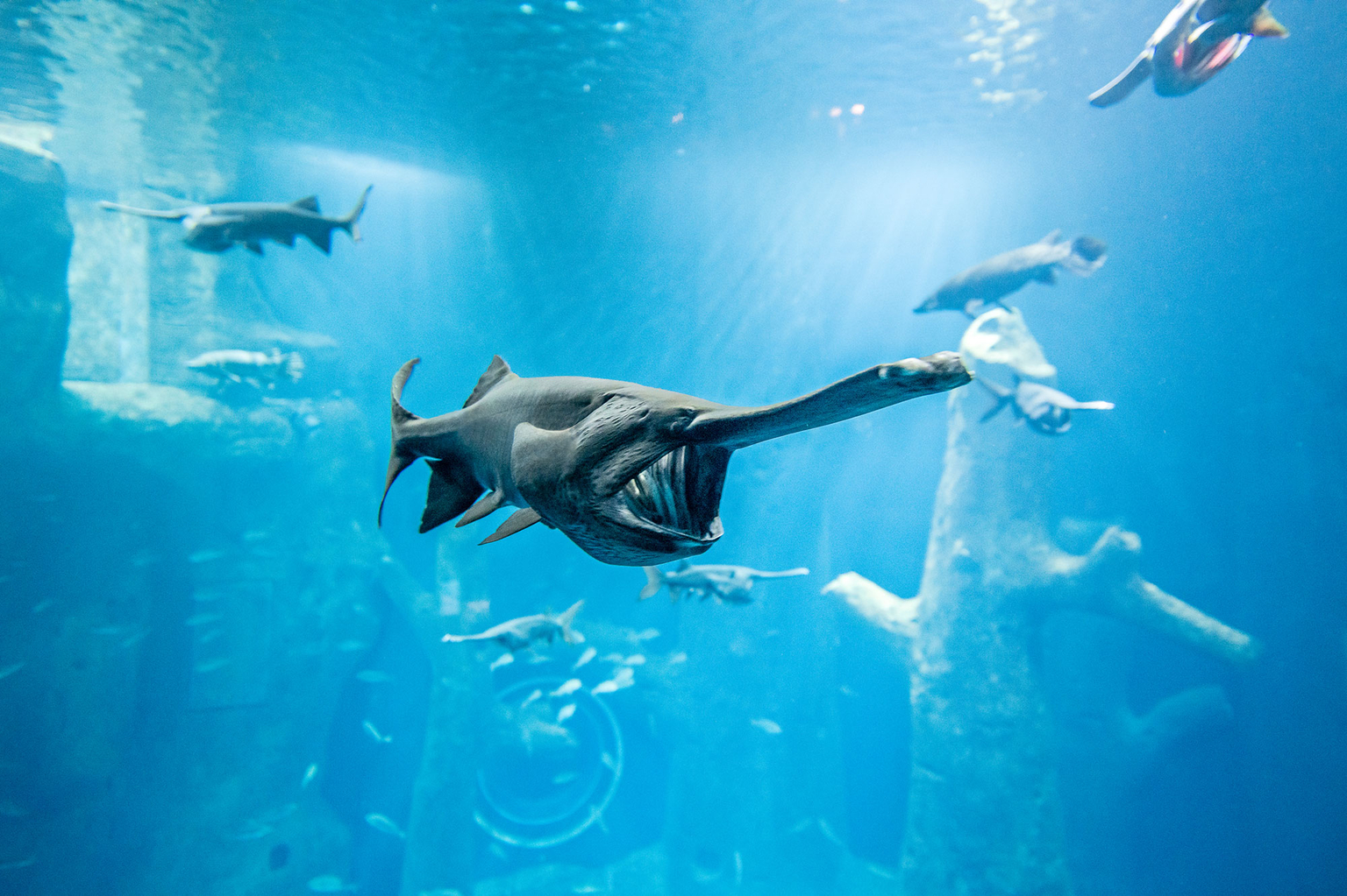 20% | AQUATIS Aquarium-Vivarium Lausanne