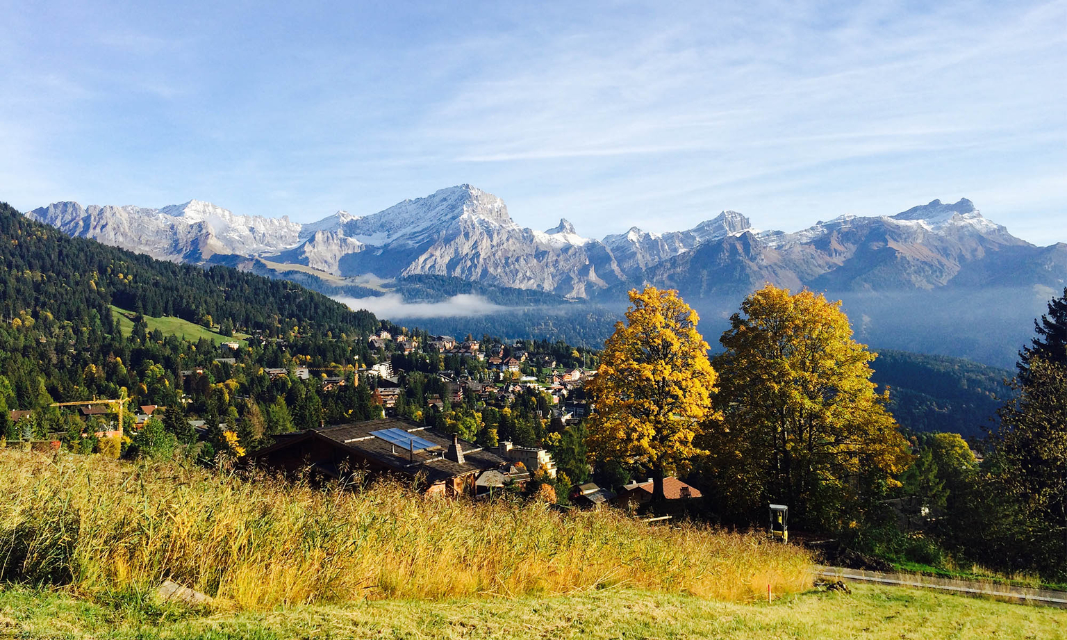 Les Bouquetins - La Truche - Villars