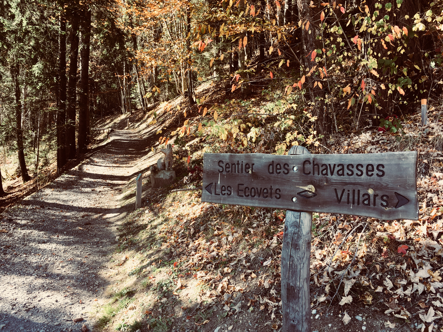 De Villars aux Ecovets par le sentier des chavasses