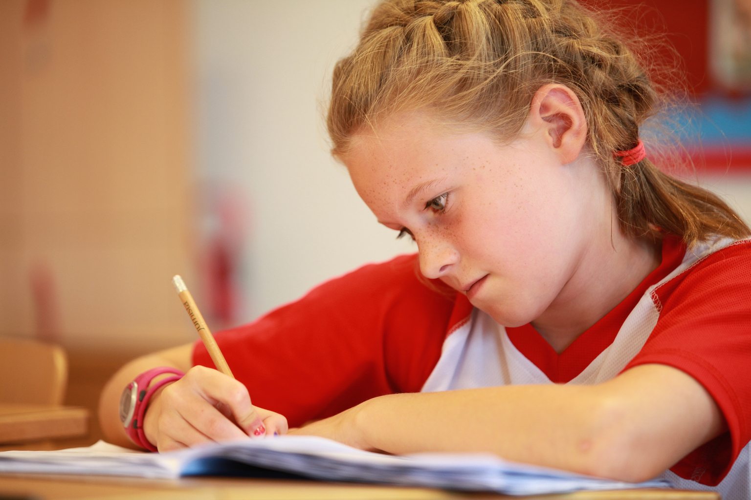 Villars International Schools