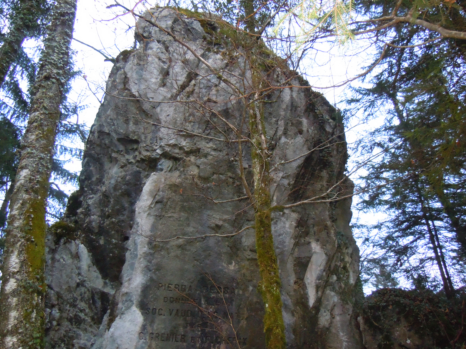Die Findlinge von Dévens
