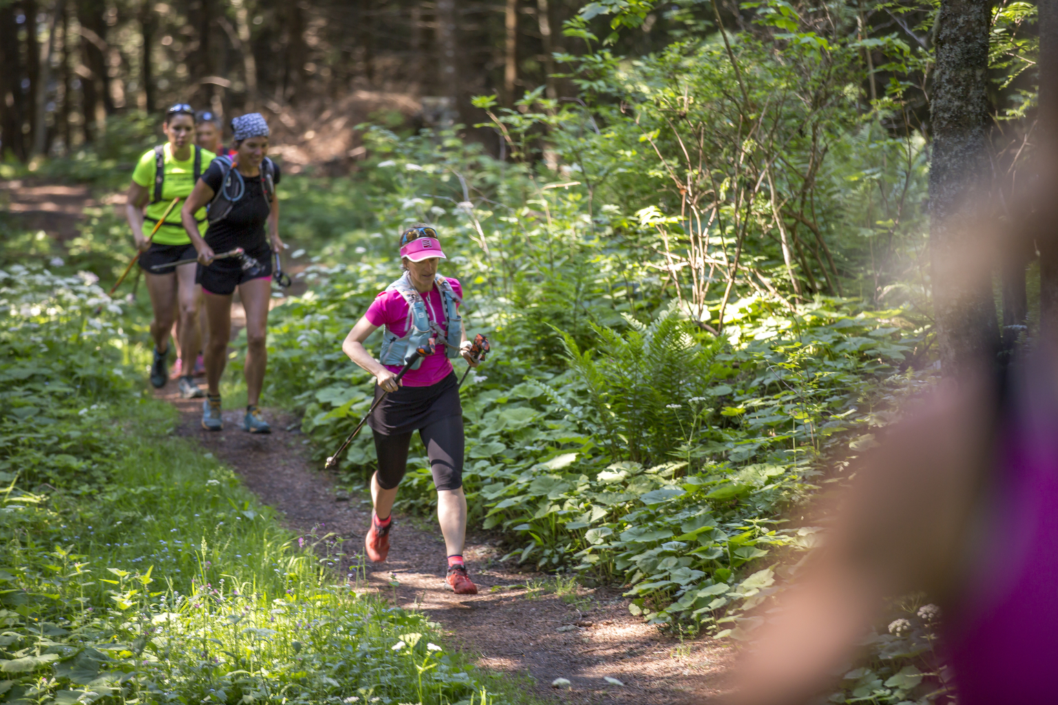 Trail du renardeau