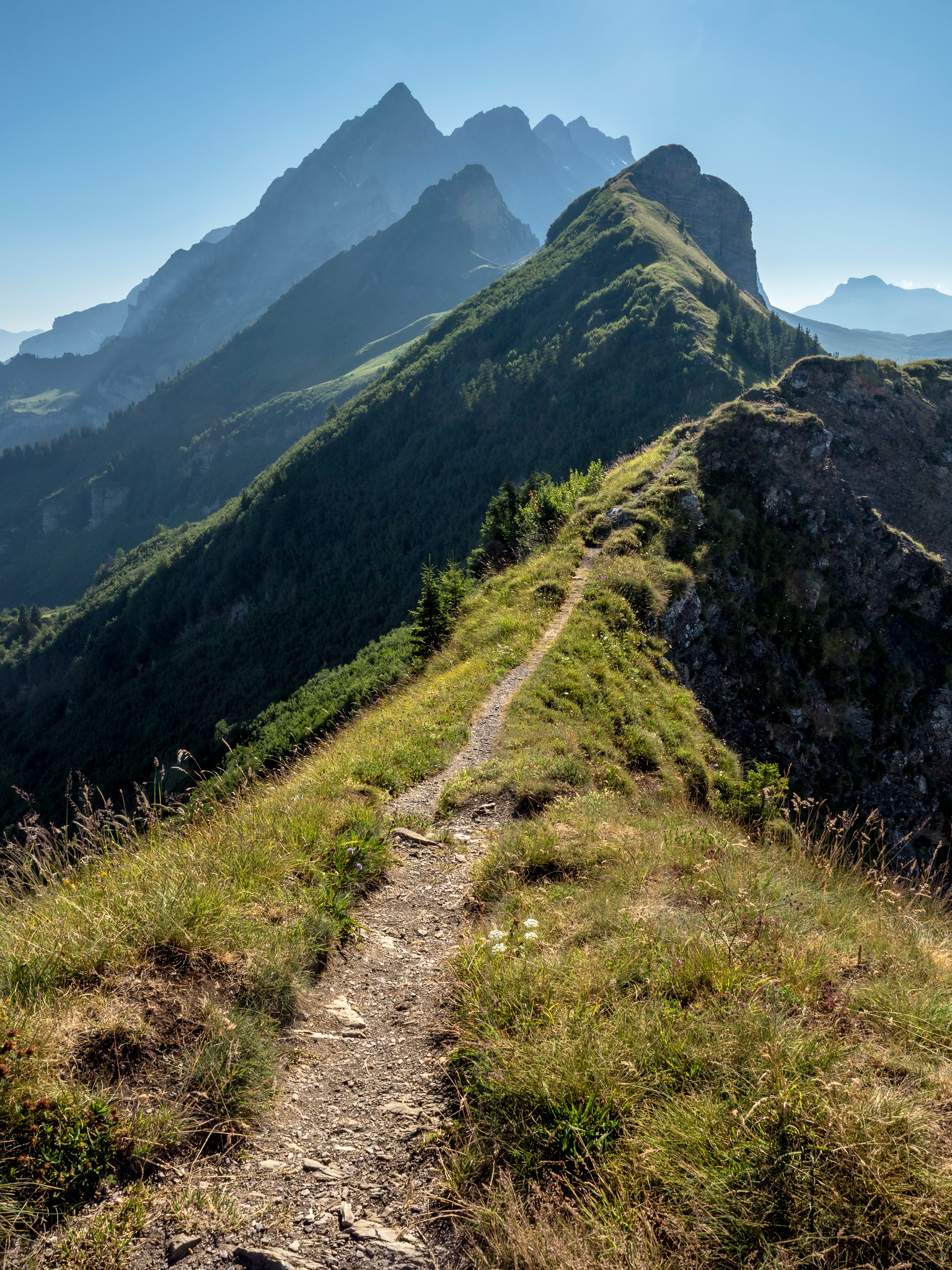 Summer hikes