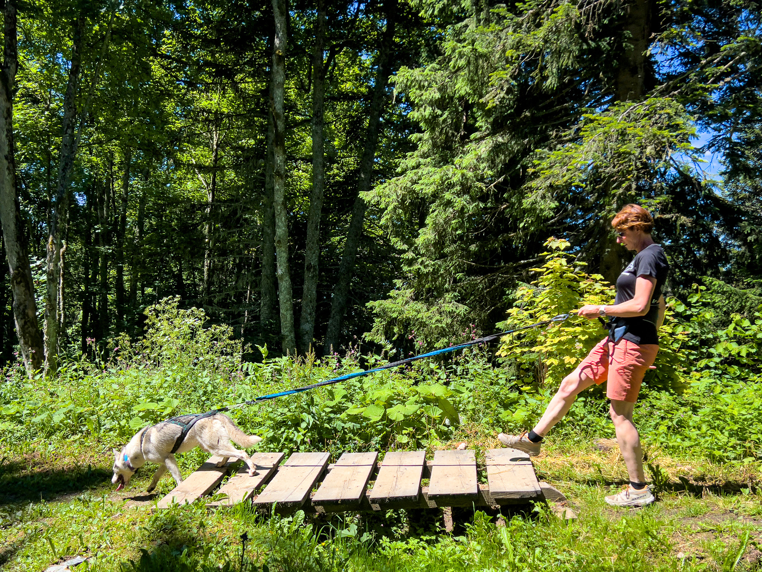 Husky-Wanderung in Villars mit Alpes'Huskies