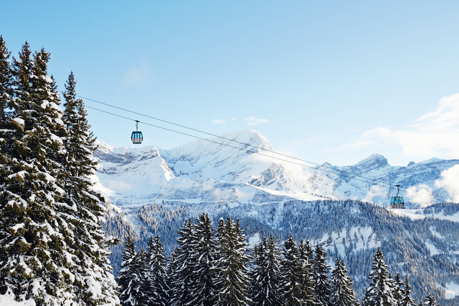 Les Chaux - Frience - Barboleuse