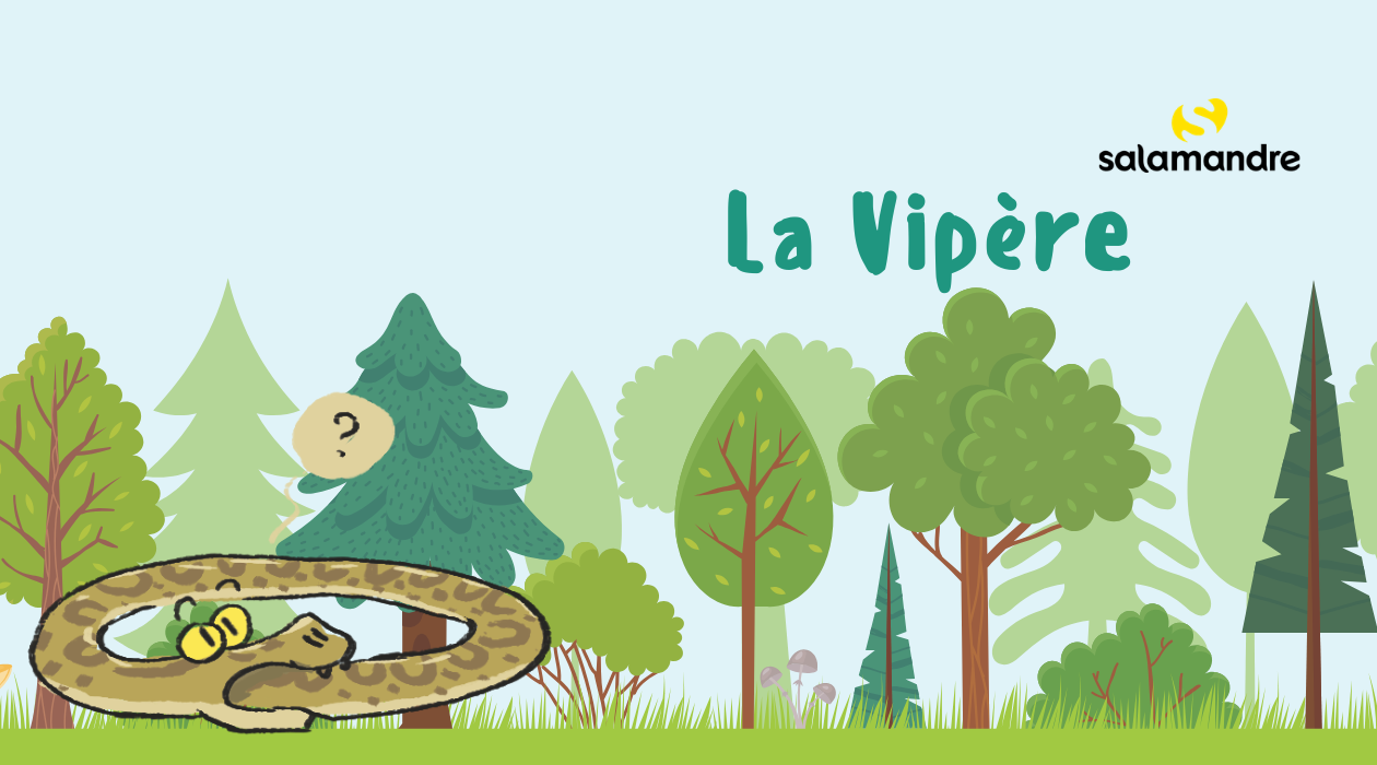 Sommer-Schnitzeljagd – Auf den Spuren der Viper