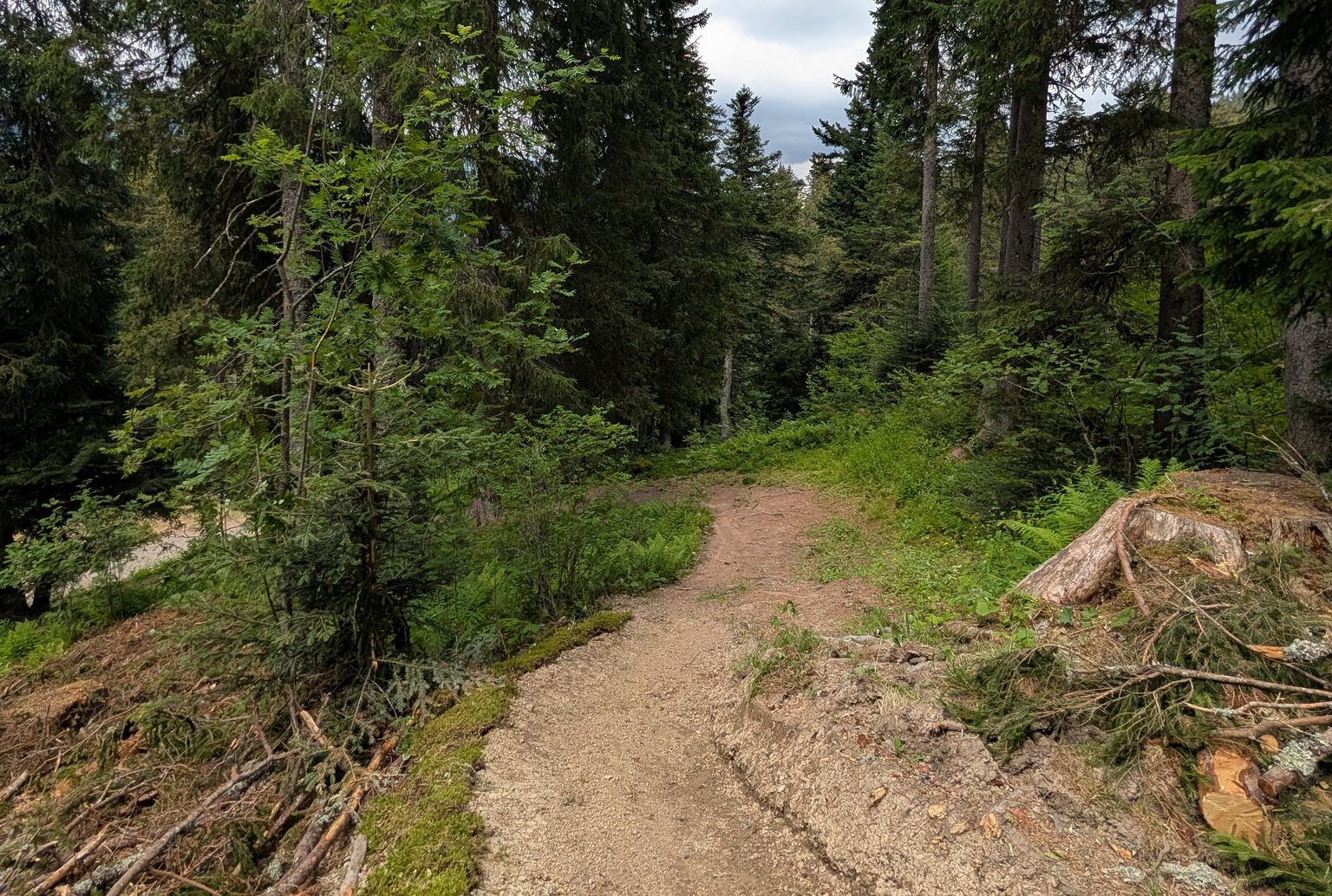 Sentier partagé du Rio Gaillard