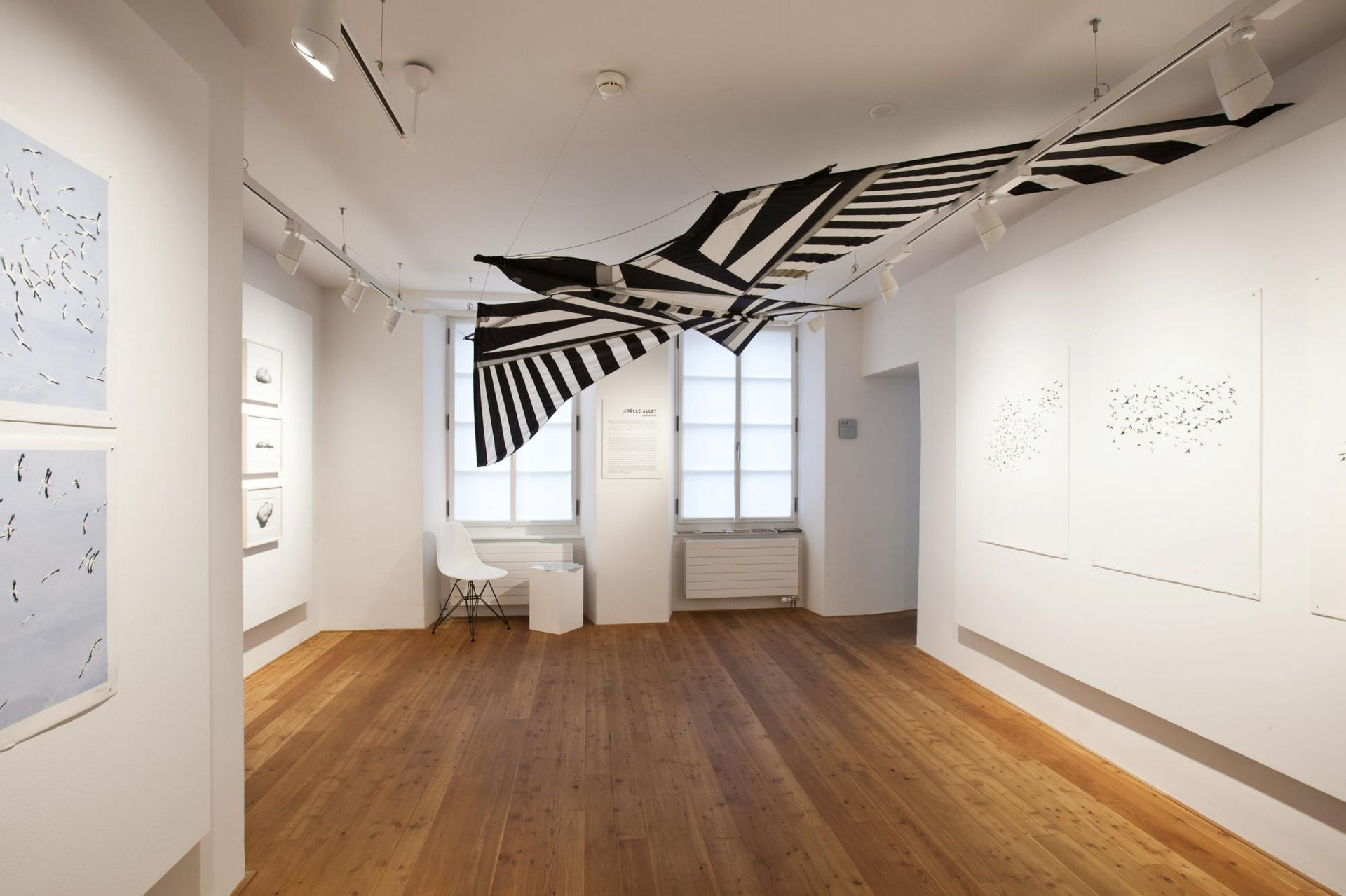 Espace Graffenried - Lionel Henriod