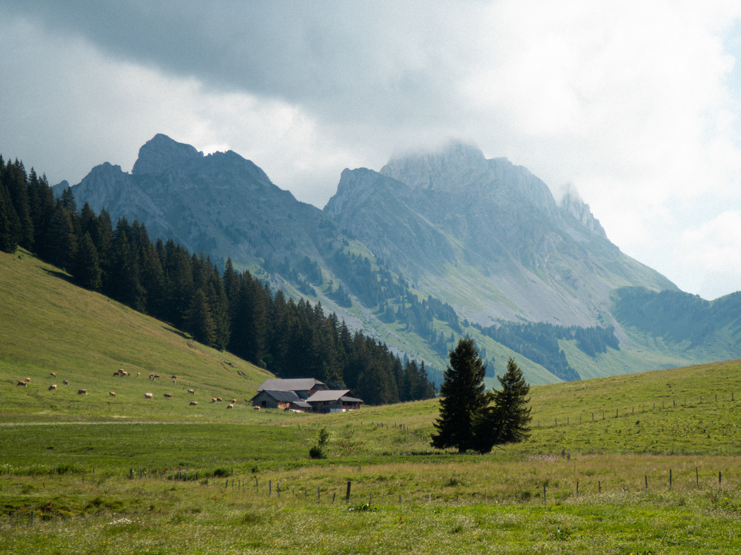 Association Touristique Aigle-Leysin-Col des Mosses