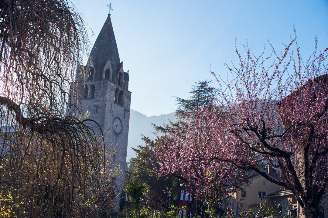 Le quartier du Cloître et ses cerisiers