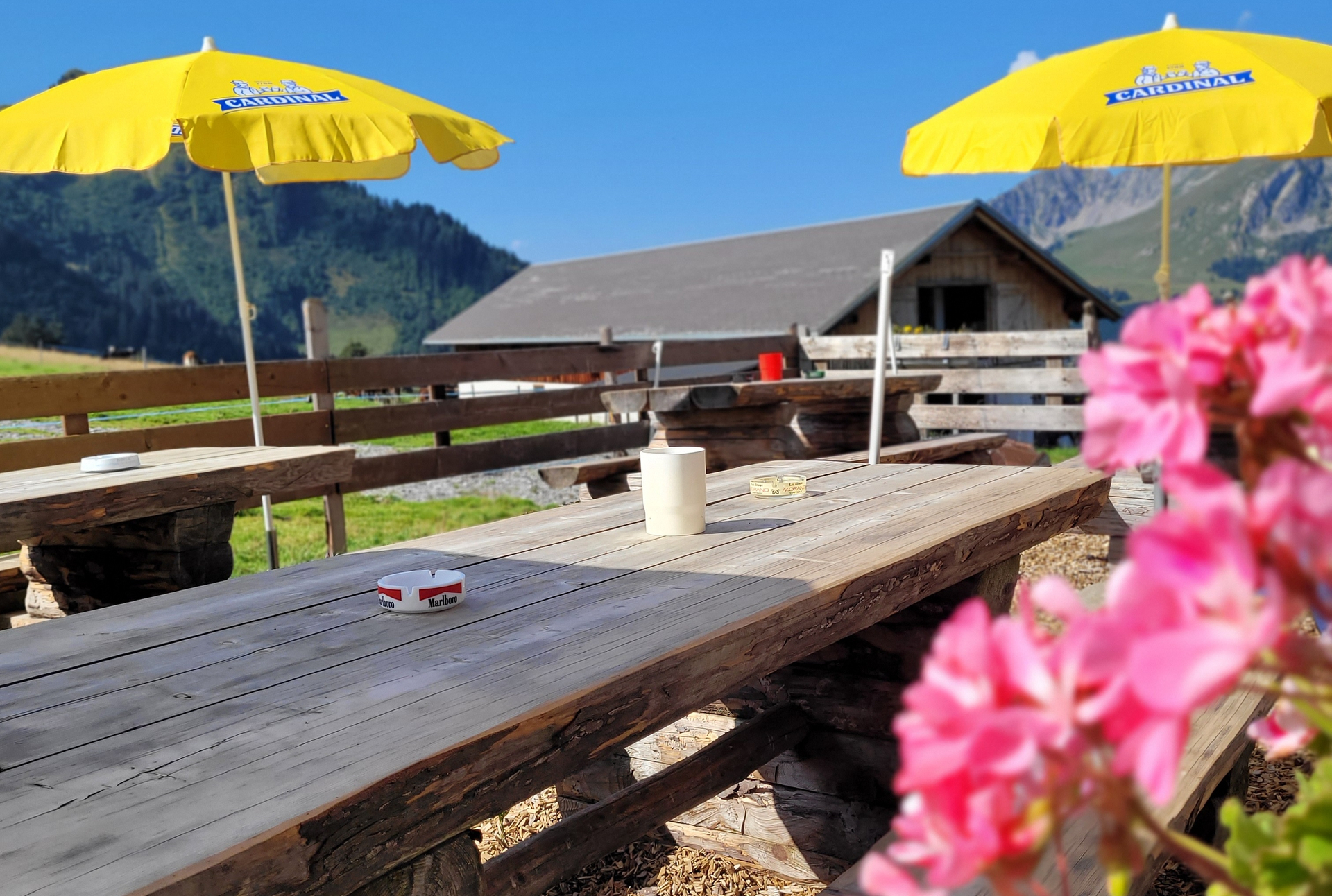 Les Mosses - Terrace Les Charmilles - Summer