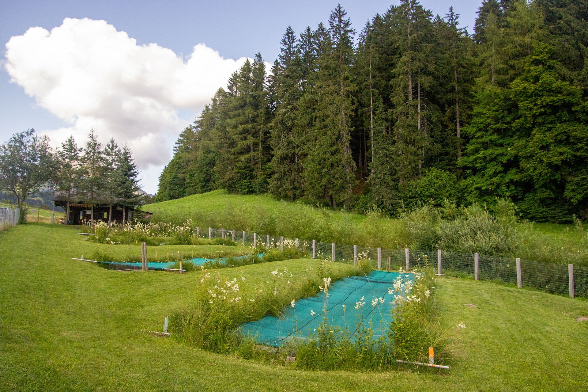 Die Fischzucht von Leysin