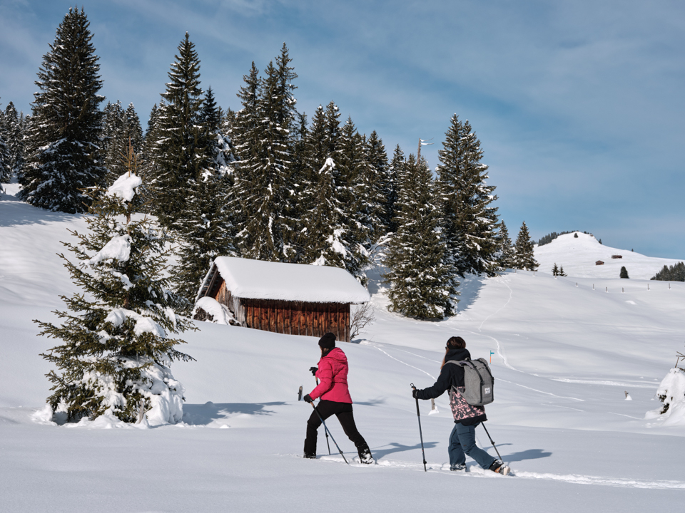 Raquettes - hiver - Les Mosses