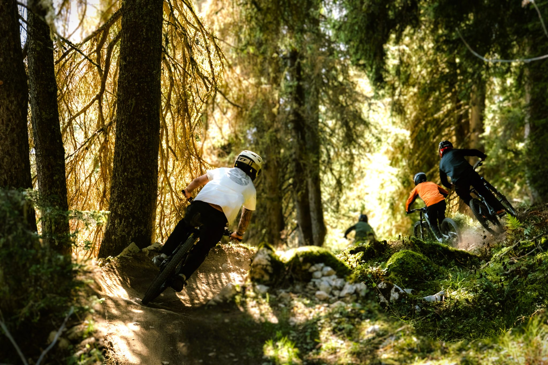 Leysin Bike Park