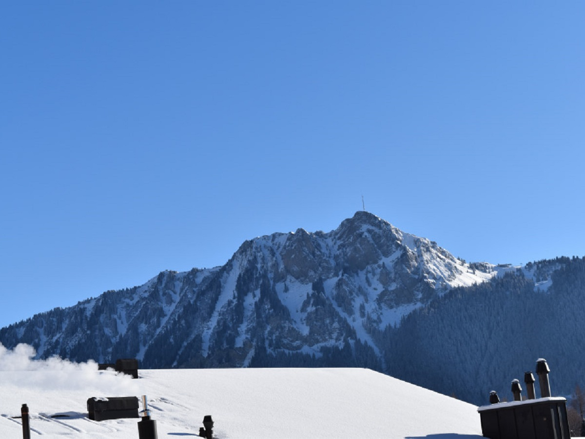 Domaine du Parc / view - winter - Leysin