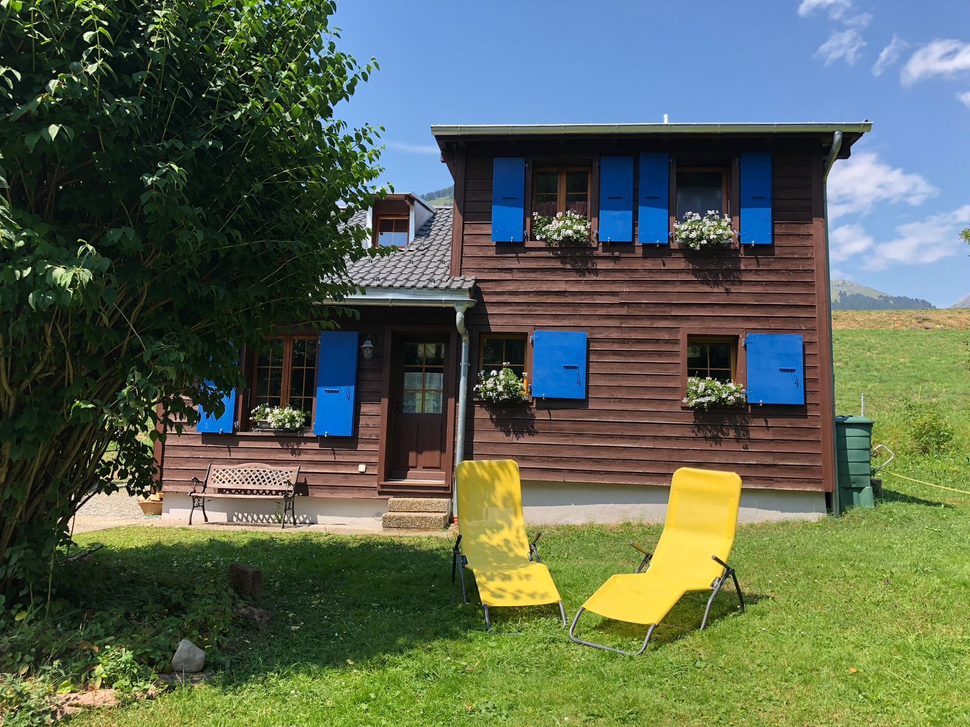 Chalet le Petit Tremplin - Sommer - Leysin