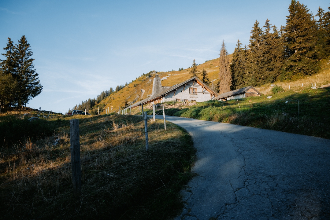mountain pasture of Le Temeley - Summer - Leysin
