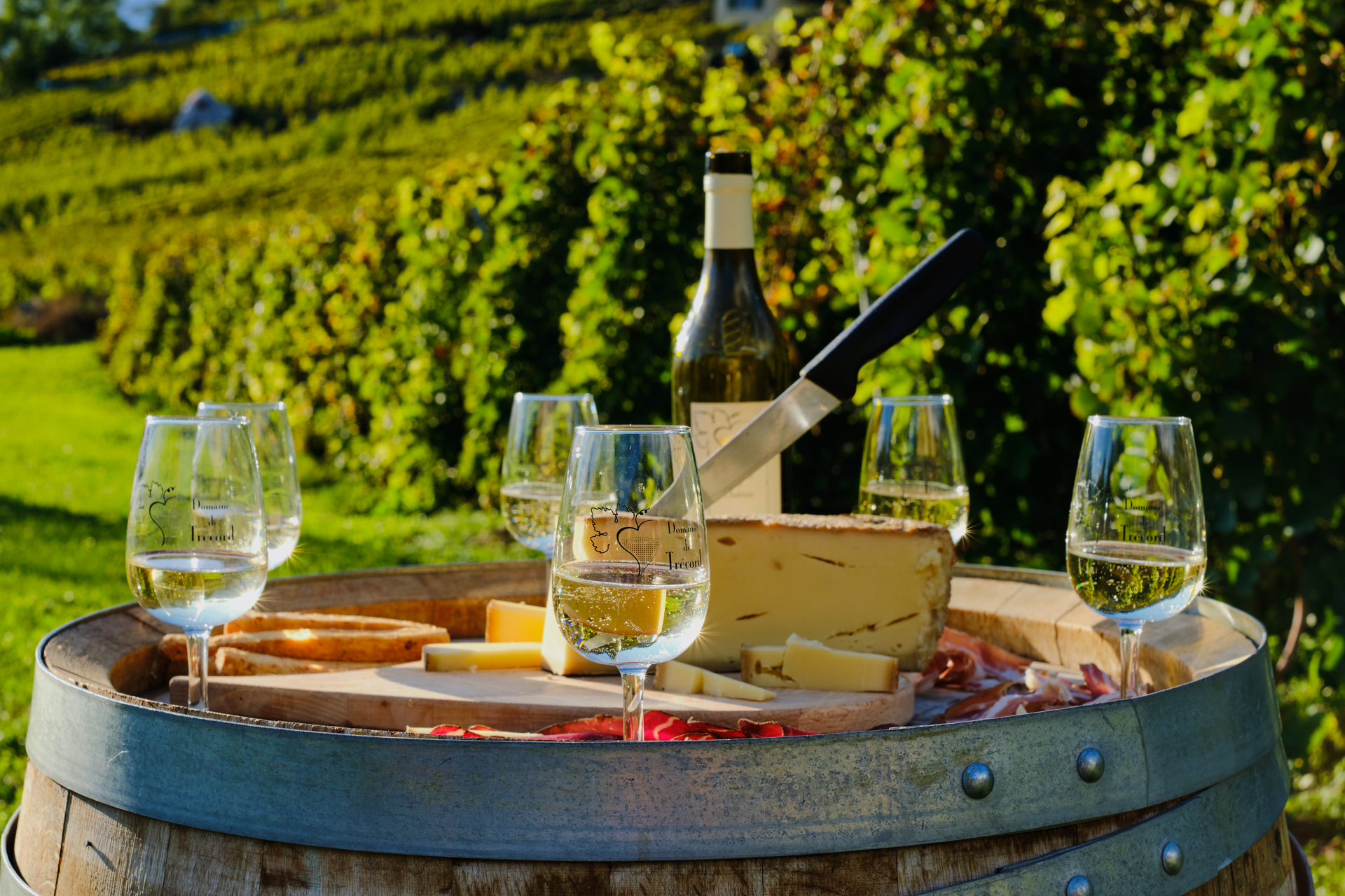 Le Chablais, terre viticole