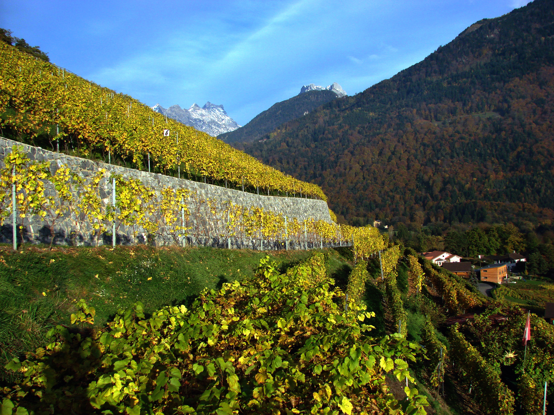 © Rapaz Frères Vins Bex