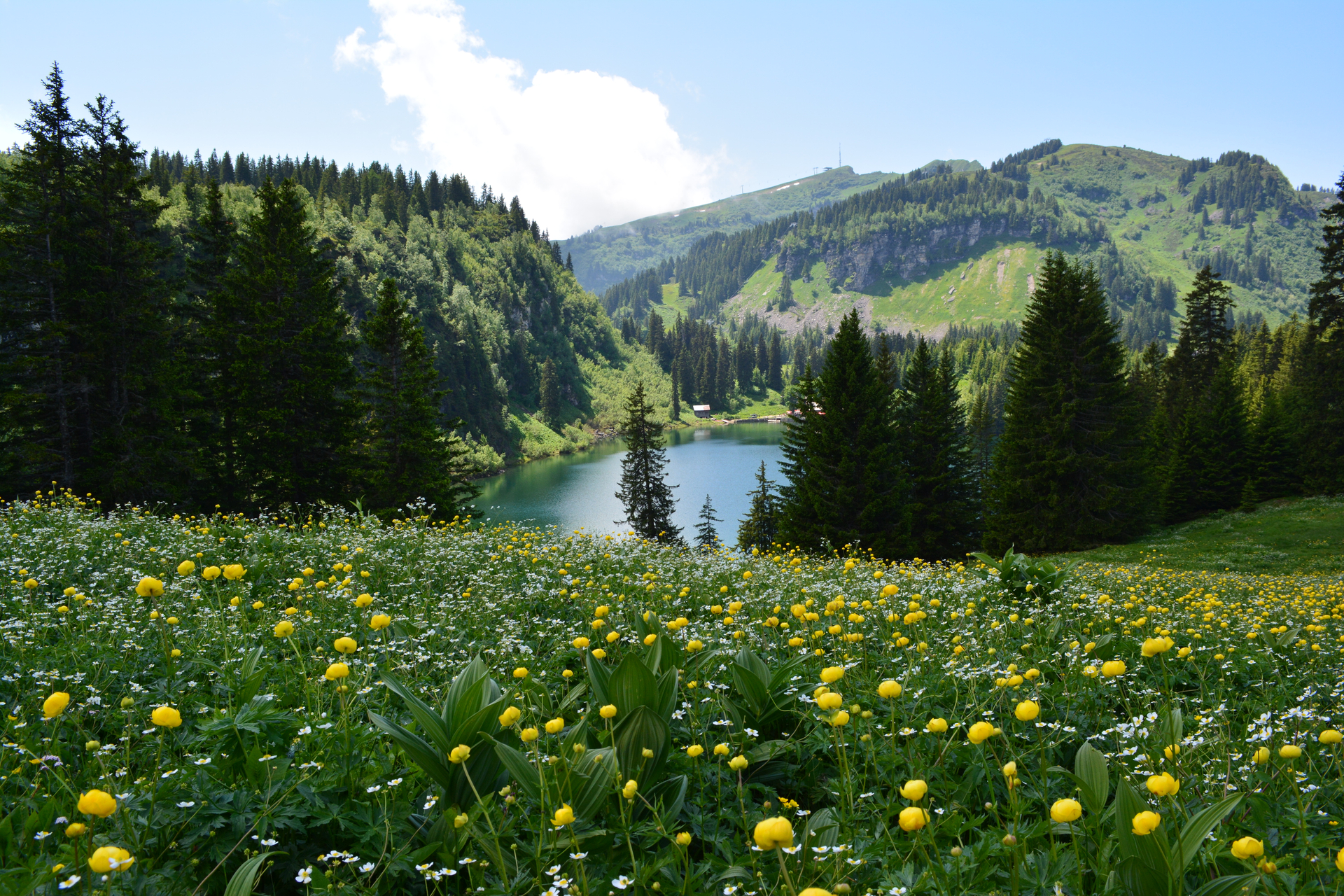 Lac des Chavonnes