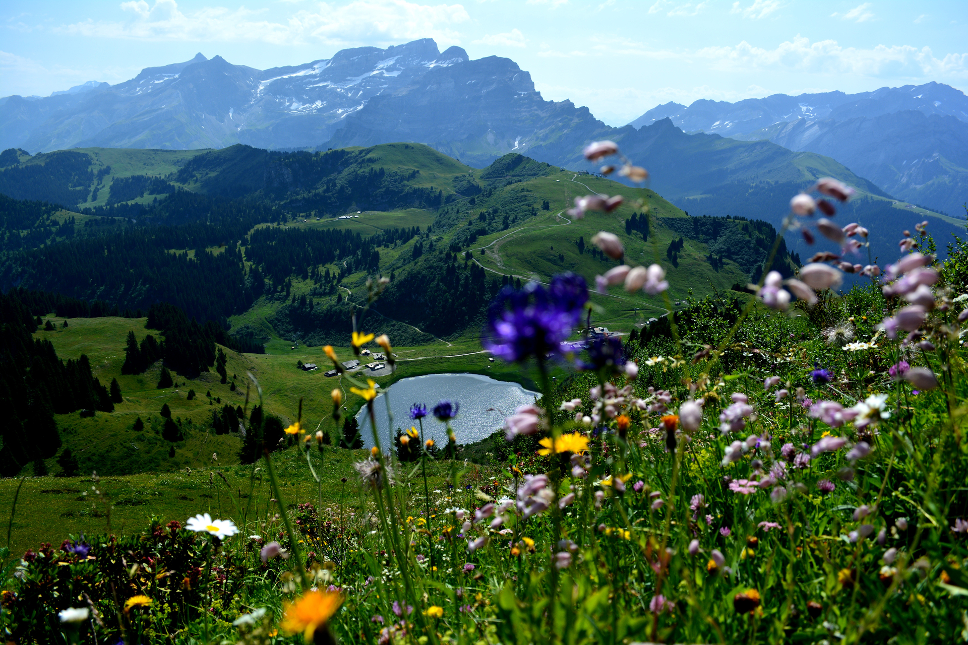 Vue Grand Chamossaire