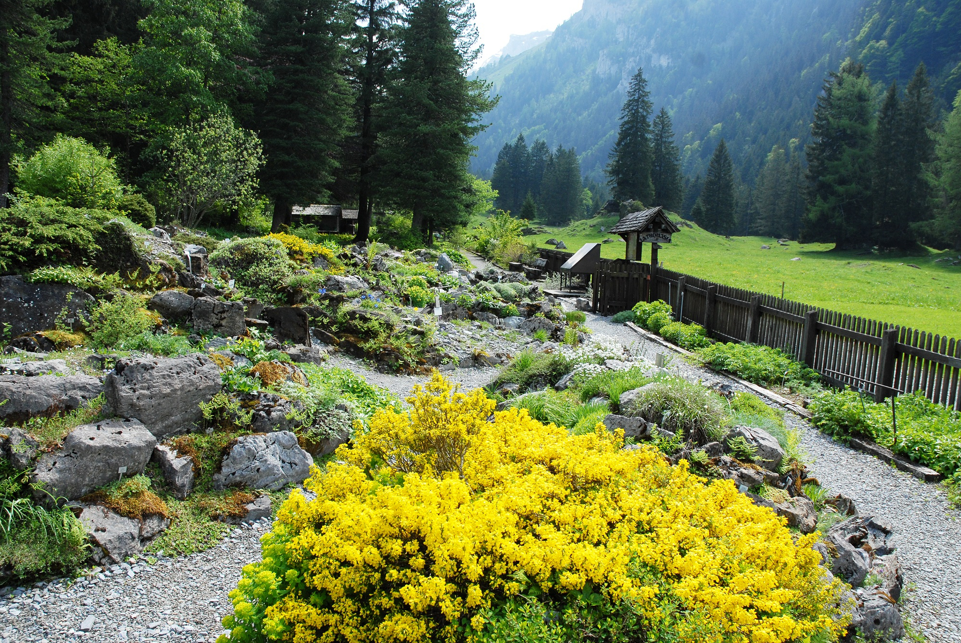 Musée et jardins botaniques cantonaux vaudois