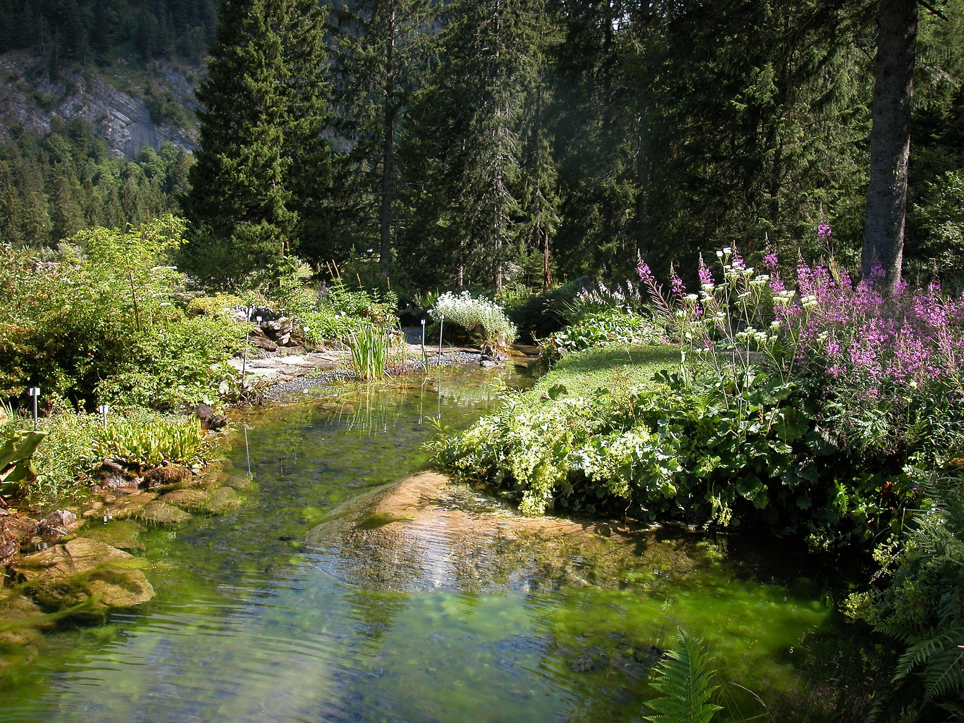Musée et jardins botaniques cantonaux vaudois