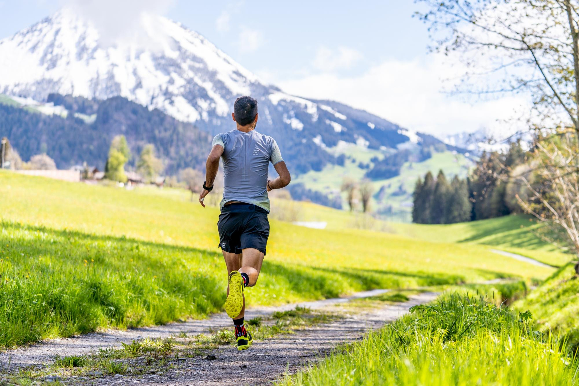Vita, forme et nature