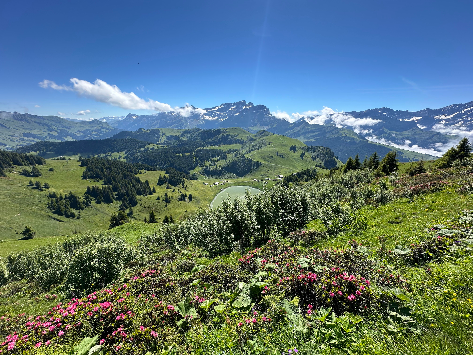 Panorama sur la descente de retour au Col de Bretaye